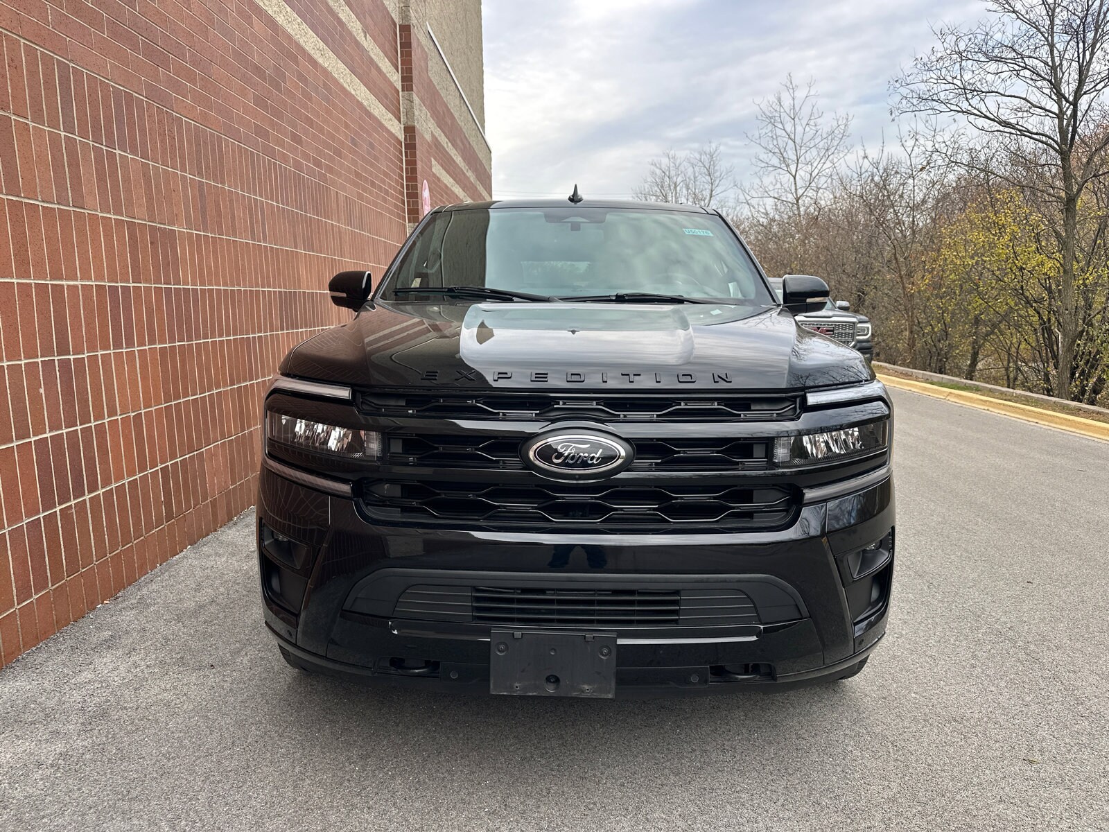 2022 Ford Expedition MAX Limited photo 3