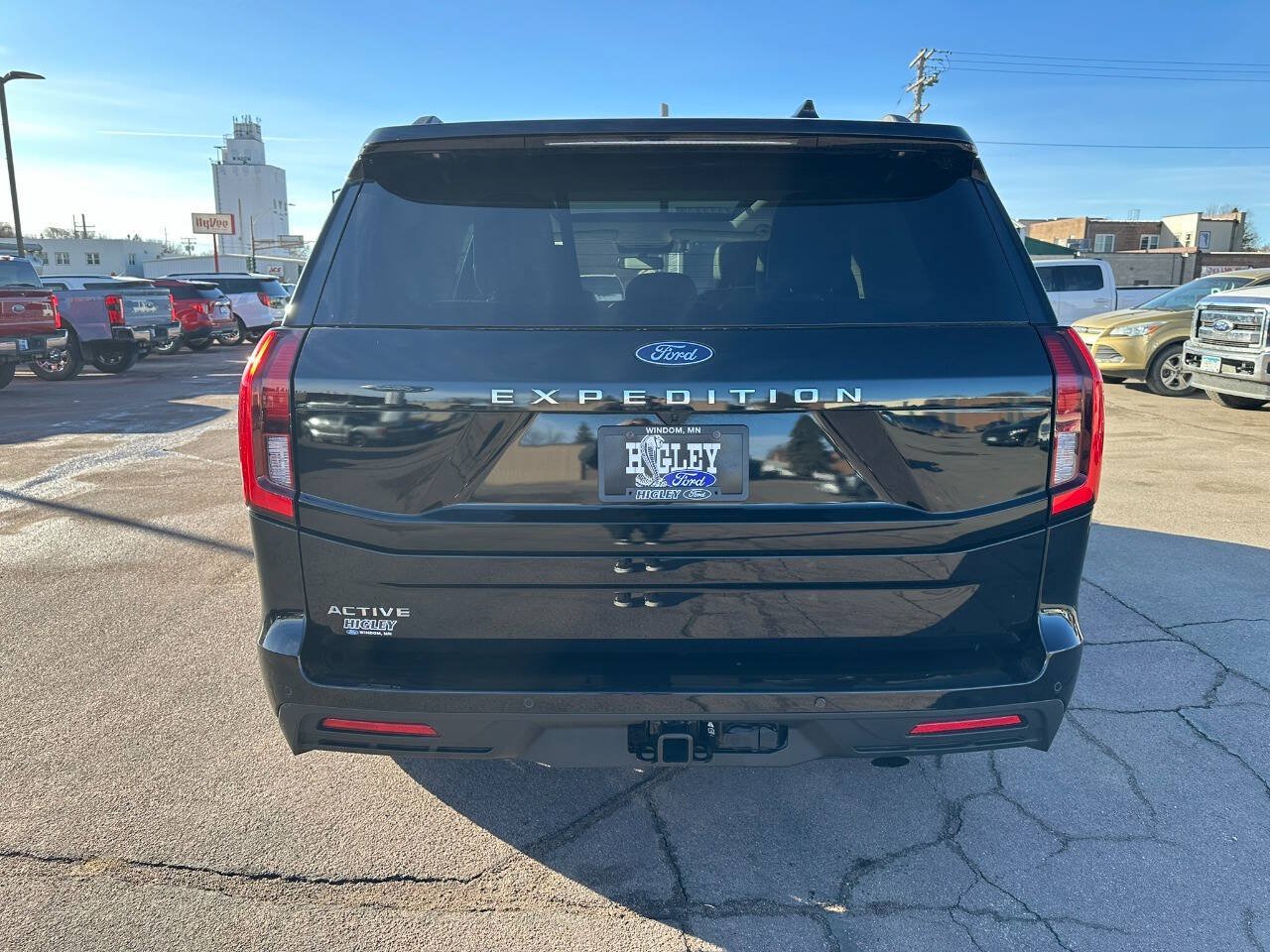 2025 Ford Expedition Active - Photo 8