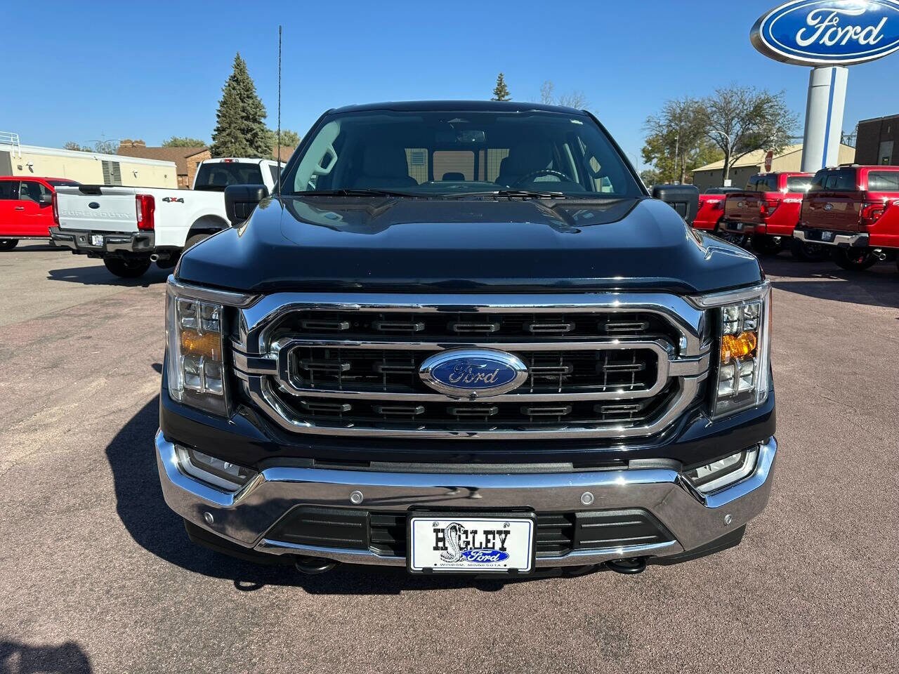 2023 Ford F-150 photo 4