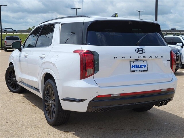 2025 Hyundai Palisade Calligraphy photo 3