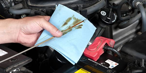 Oil Change Dipstick.jpg