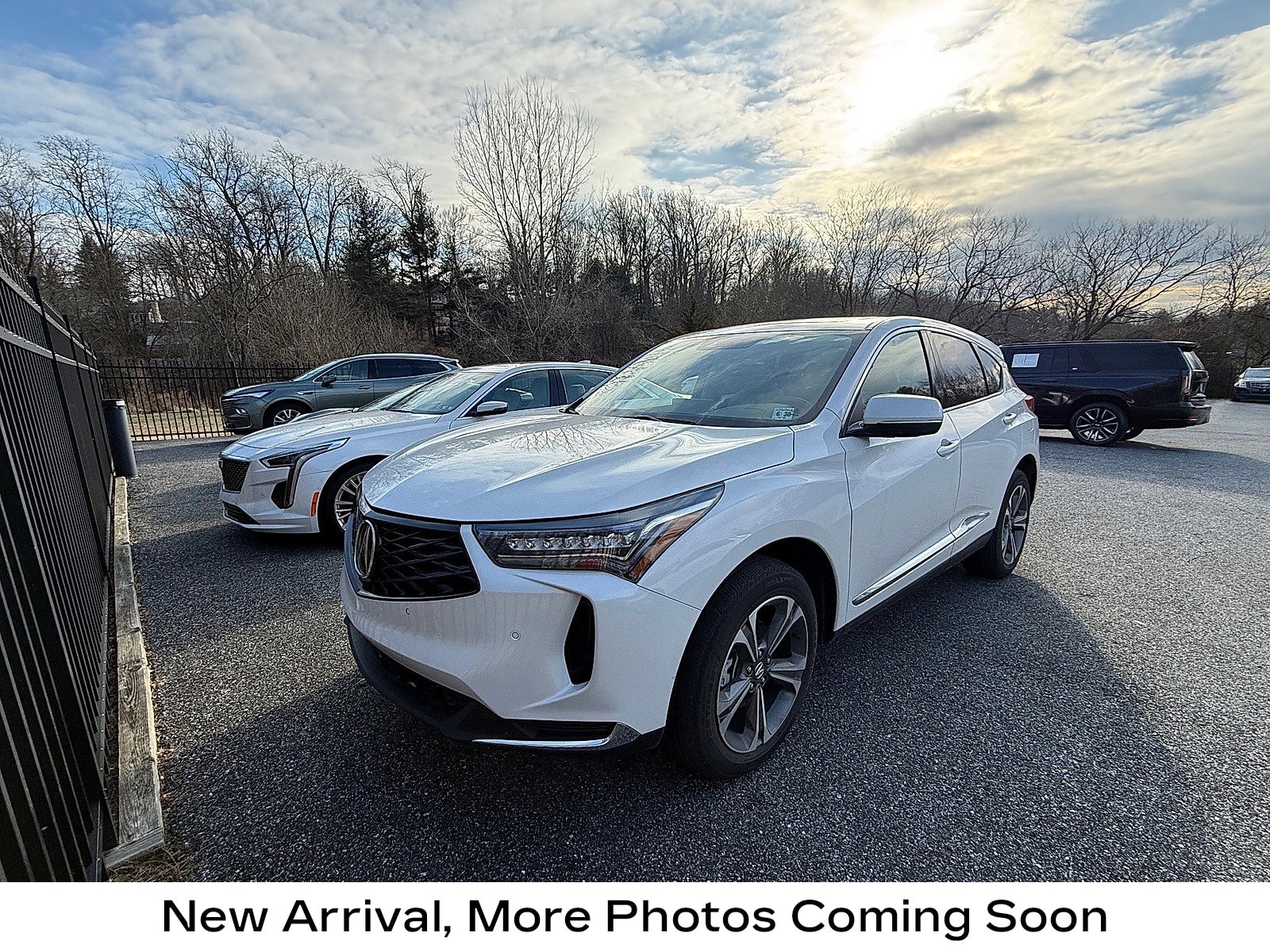 2025 Acura RDX Technology Package's photo