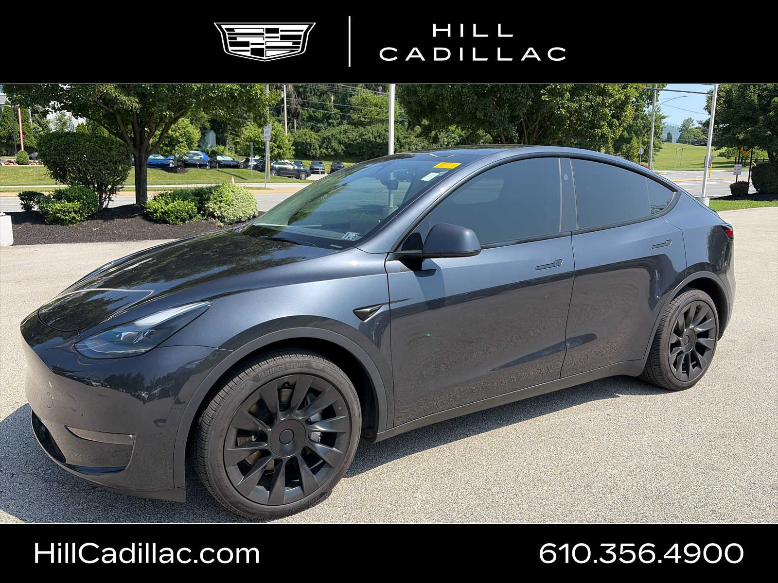 2024 Tesla Model Y Long Range Dual Motor All-Wheel Drive's photo