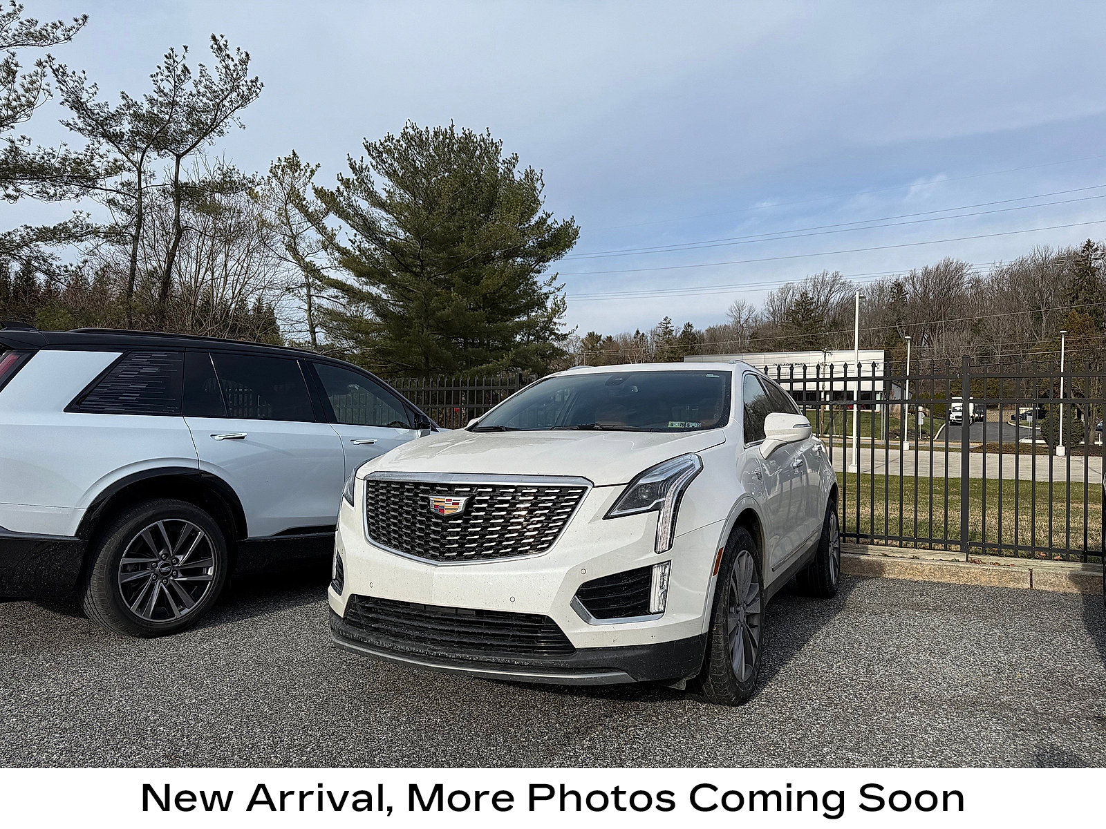 2024 Cadillac XT5 Premium Luxury's photo