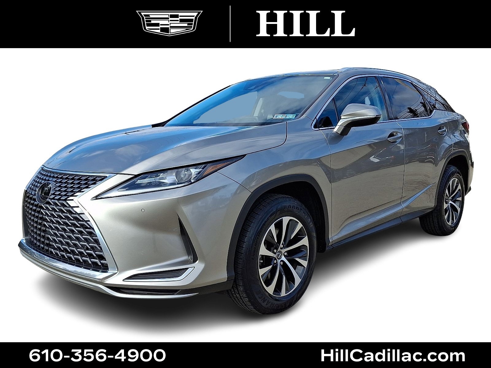 2020 Lexus RX 350's photo