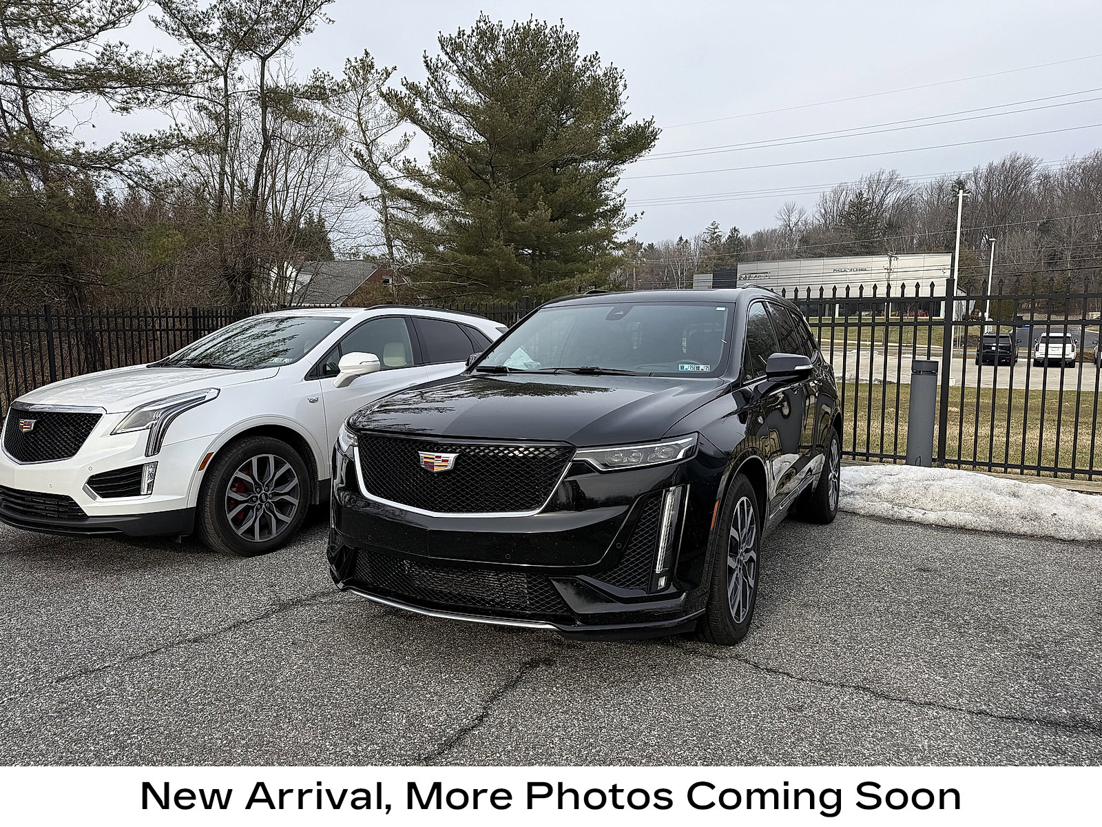 2024 Cadillac XT6 Sport's photo
