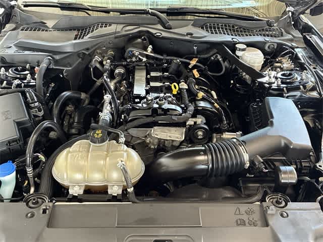 Thumbnail: 2023 Ford Mustang - 15