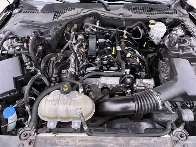 Thumbnail: 2023 Ford Mustang - 15