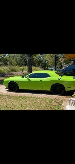 2015 Dodge Challenger Scat Pack's photo