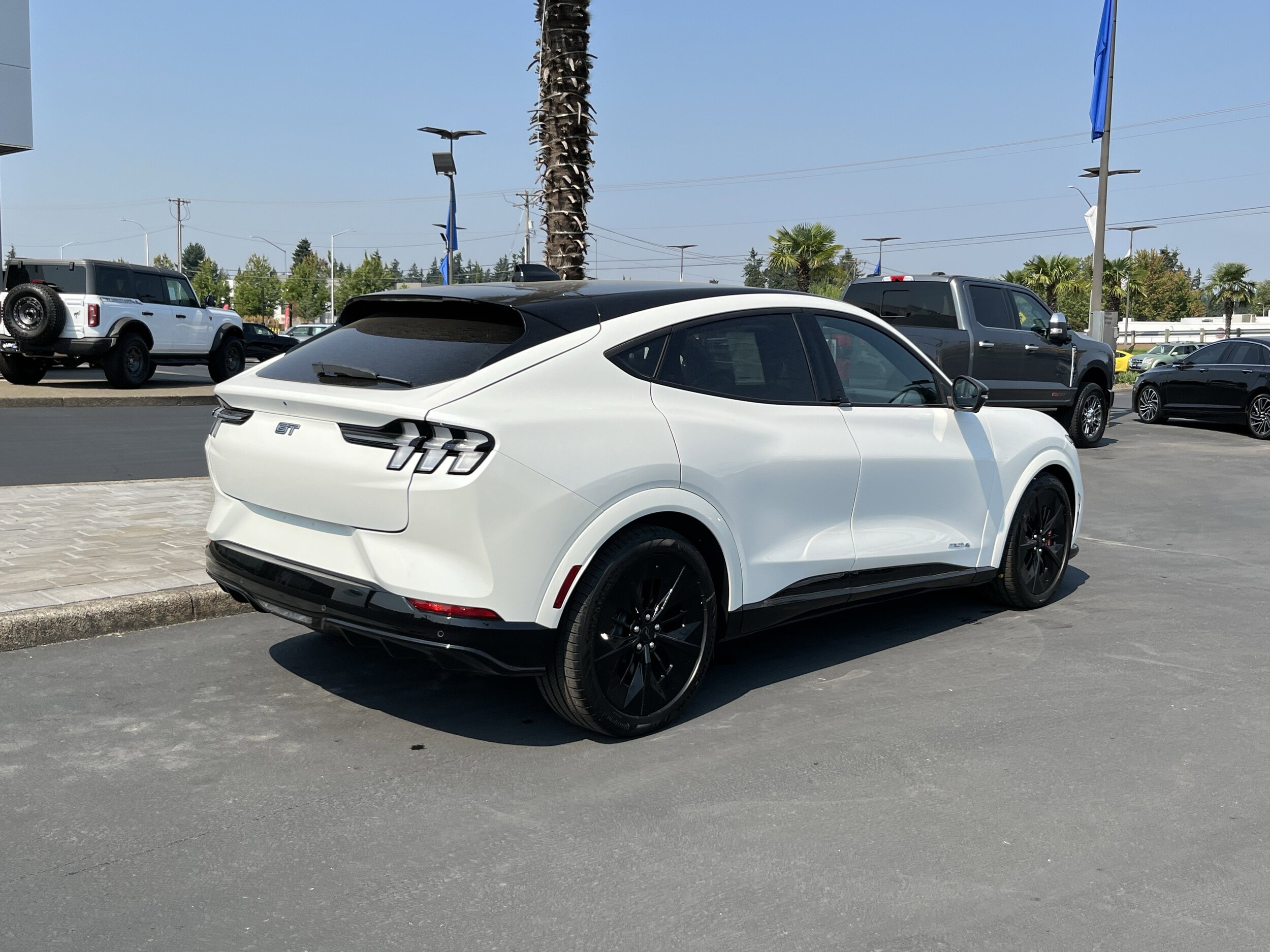 2025 Ford Mustang Mach-E GT photo 3