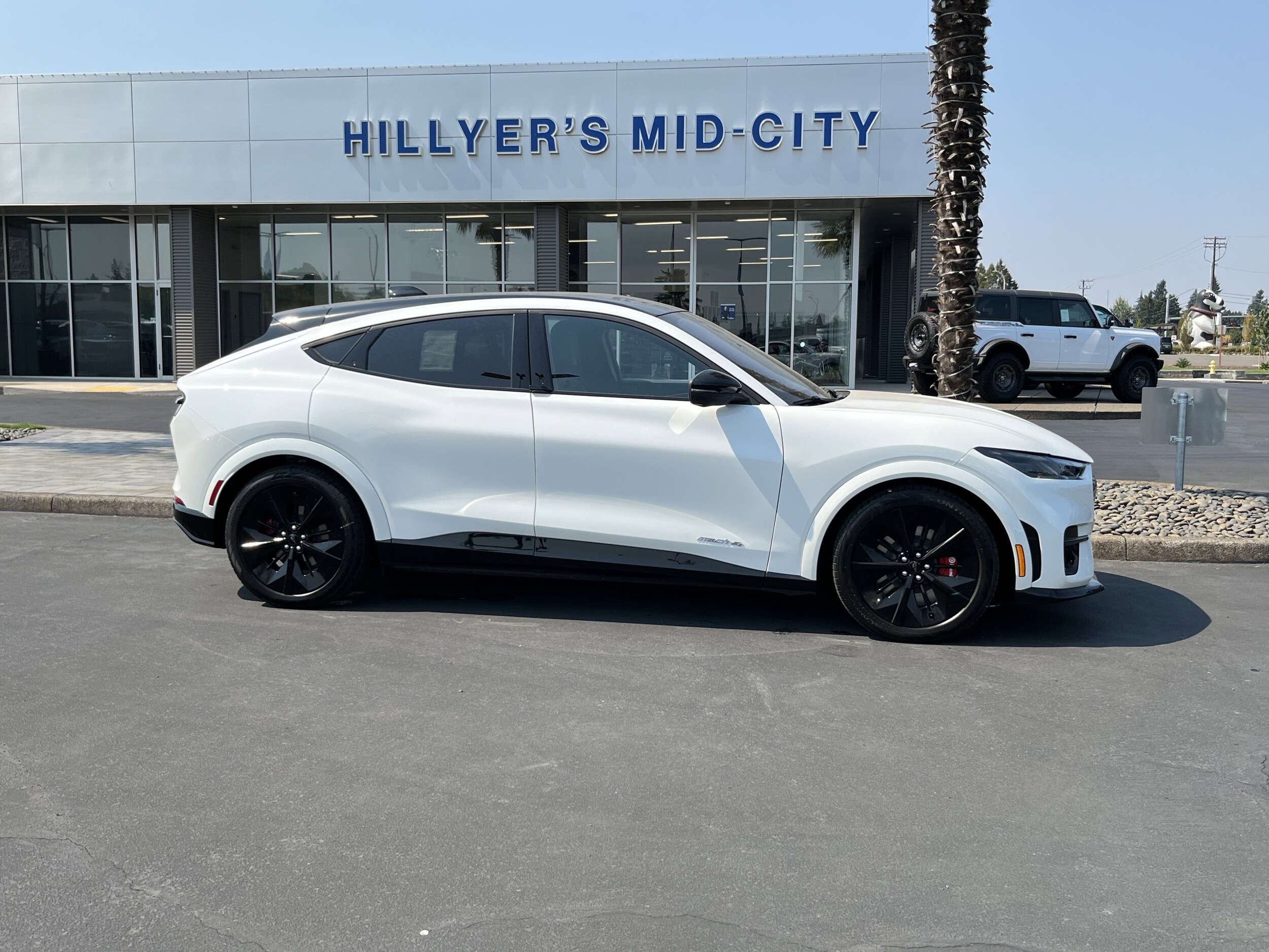 2025 Ford Mustang Mach-E GT photo 2