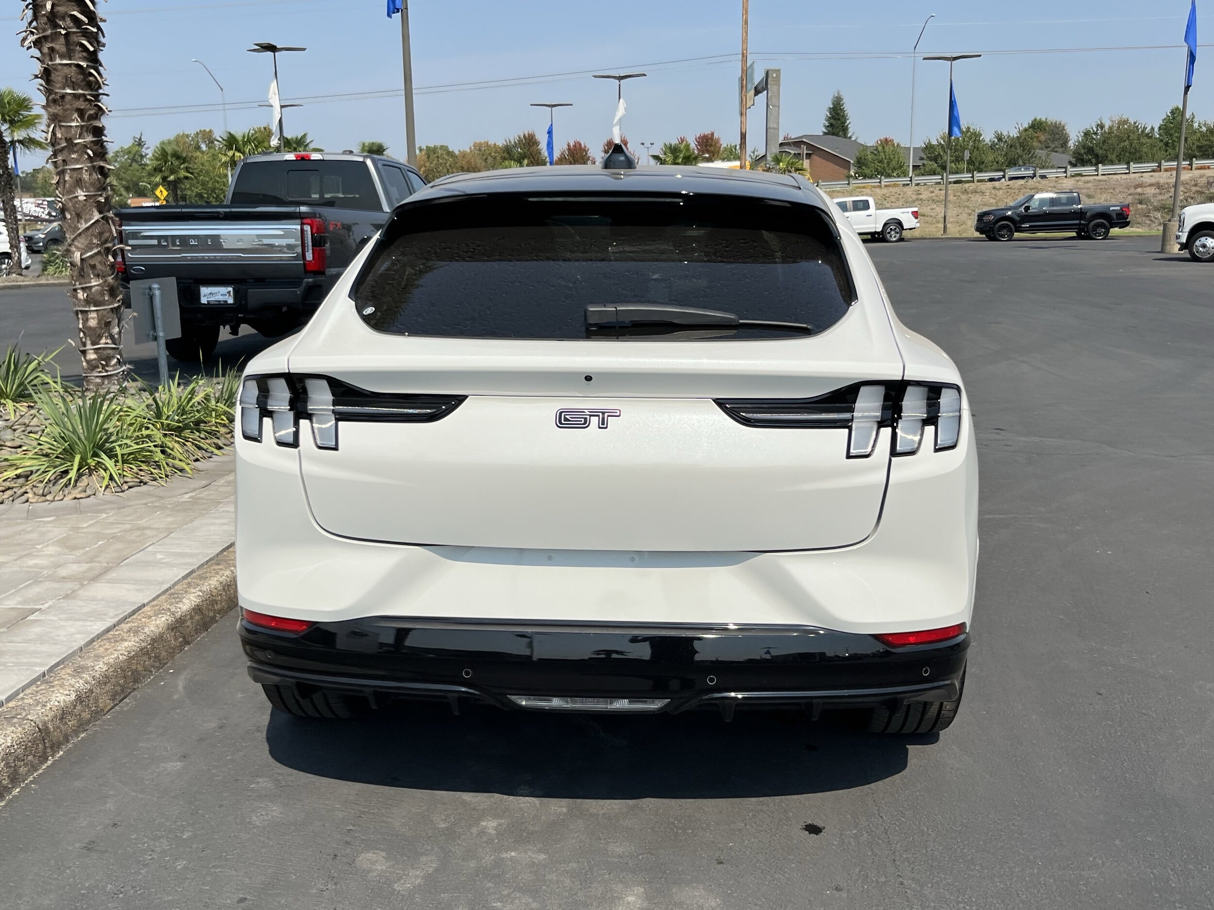 2025 Ford Mustang Mach-E GT photo 4