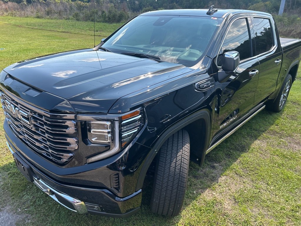 2025 Gmc Sierra 1500 Denali Ultimate photo 3