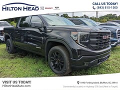 2025 GMC Sierra 1500 Elevation Truck