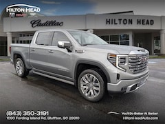 2025 GMC Sierra 1500 Denali Truck