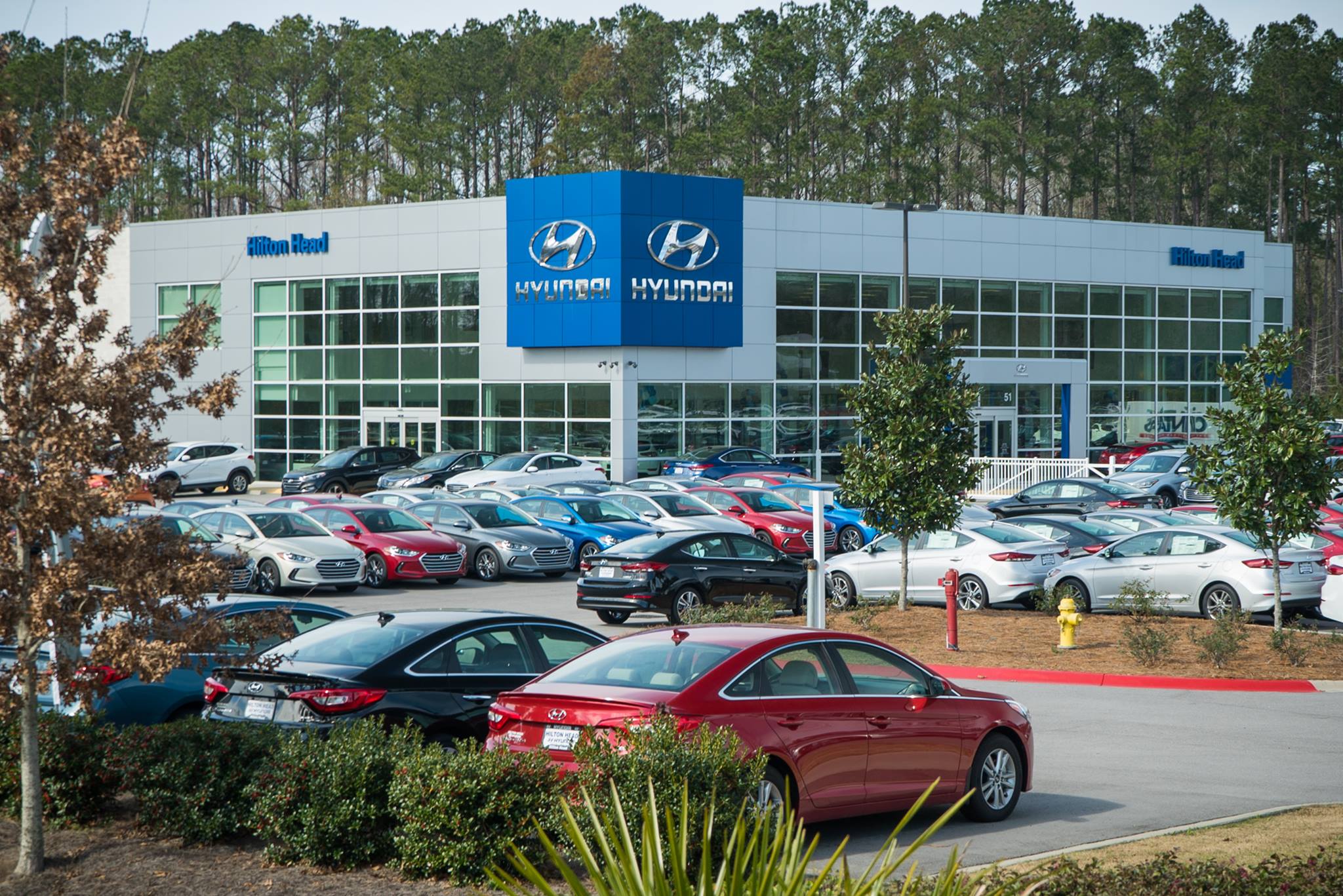 Peacock Hyundai HH.jpg