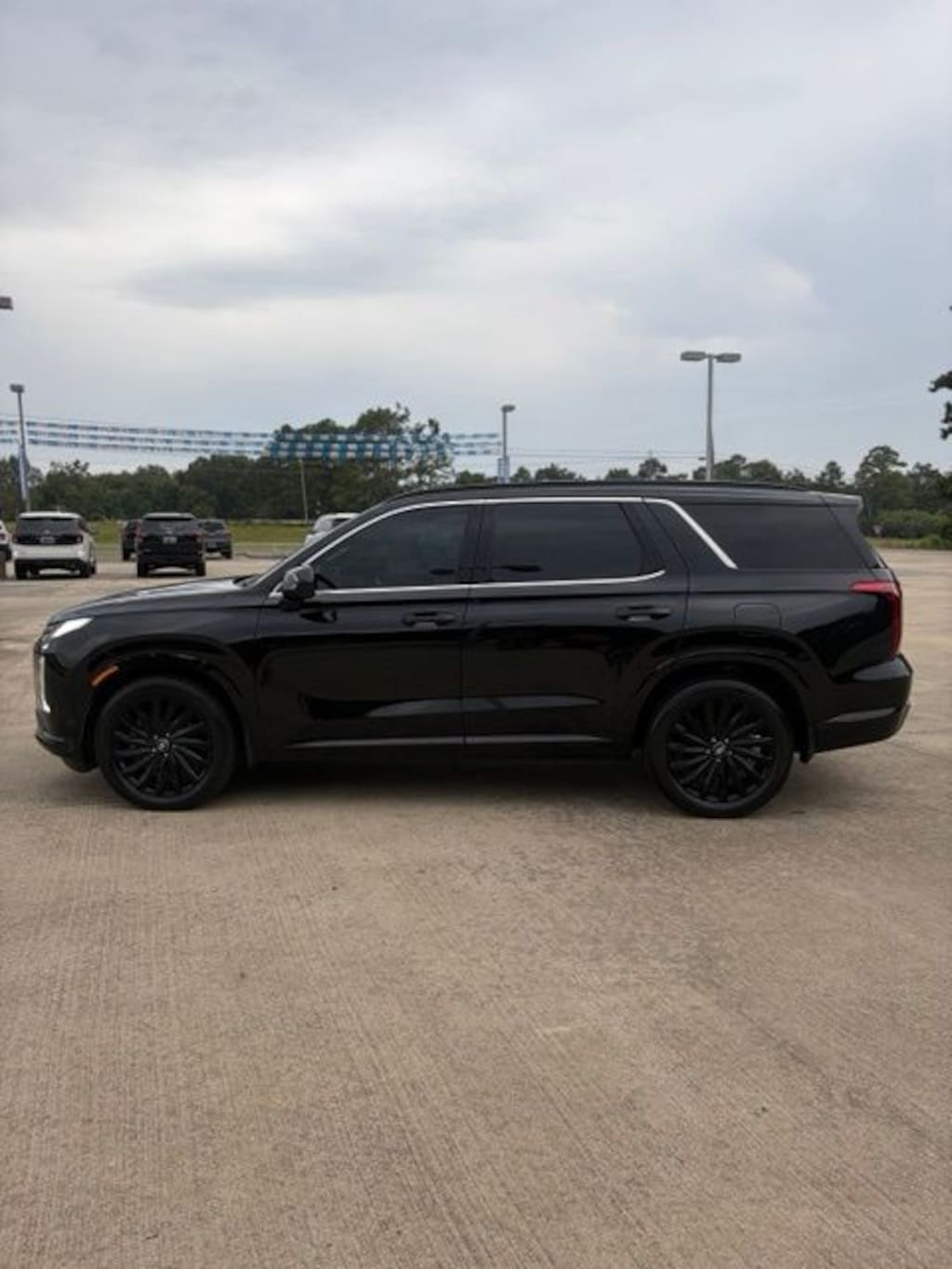 Used 2025 Hyundai Palisade Calligraphy Night Edition SUV