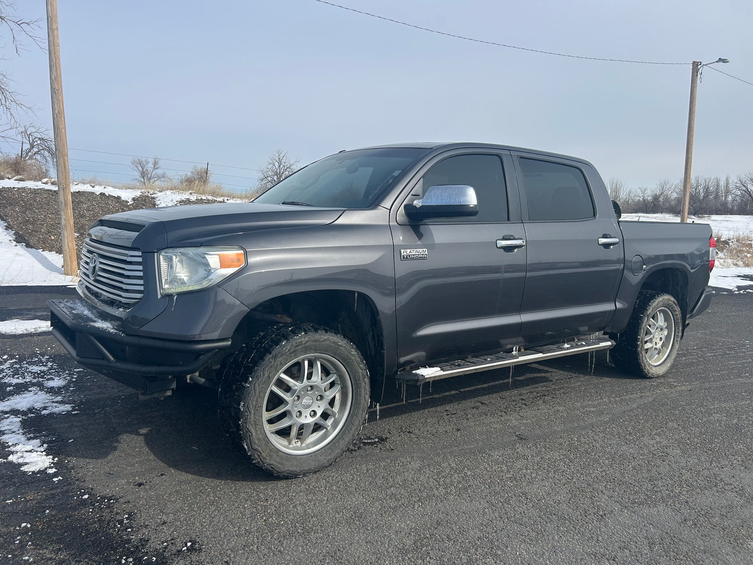 2015 Toyota Tundra 4WD Truck Platinum - Gray exterior view 2