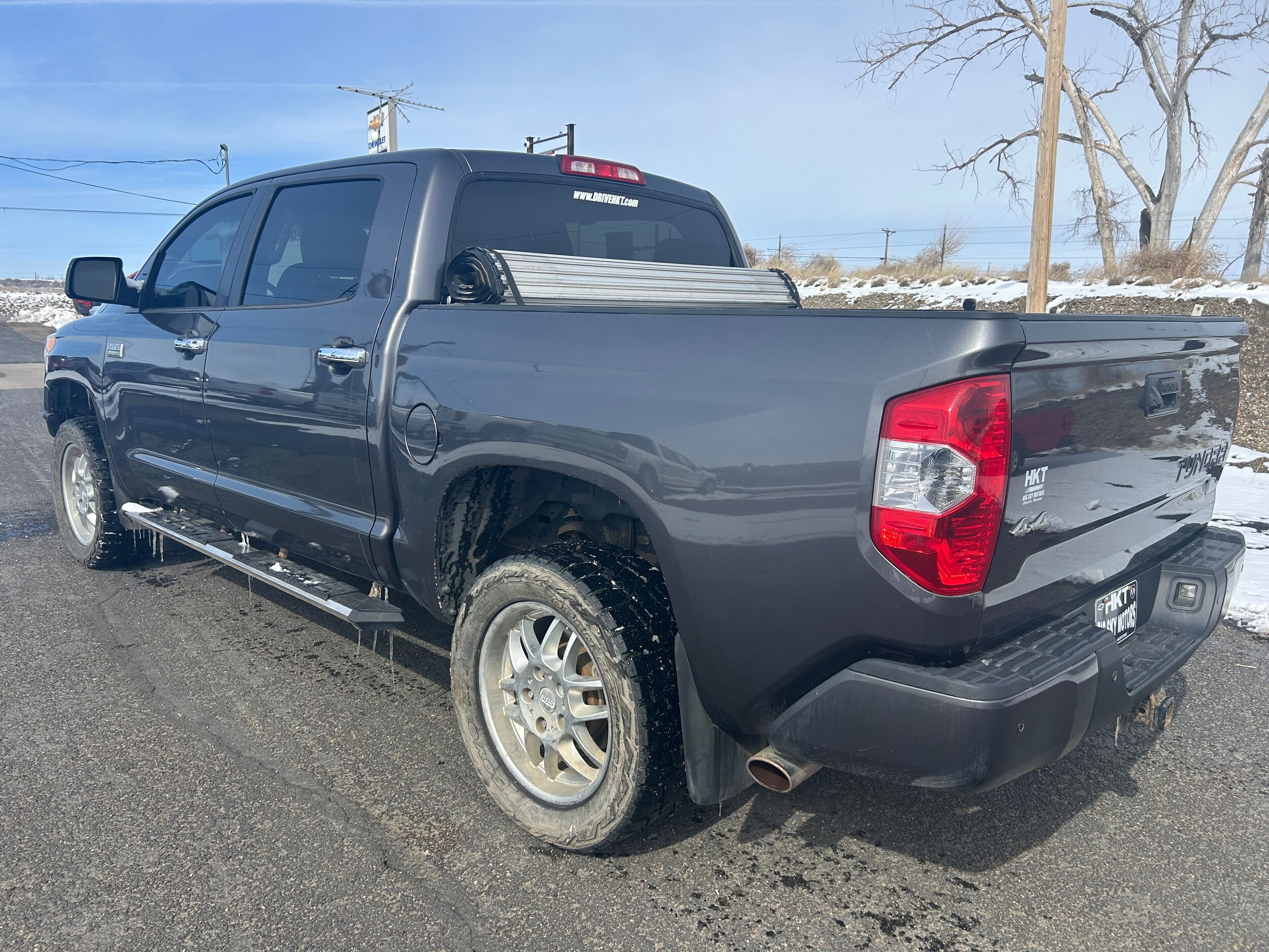 2015 Toyota Tundra 4WD Truck Platinum - Gray exterior view 5
