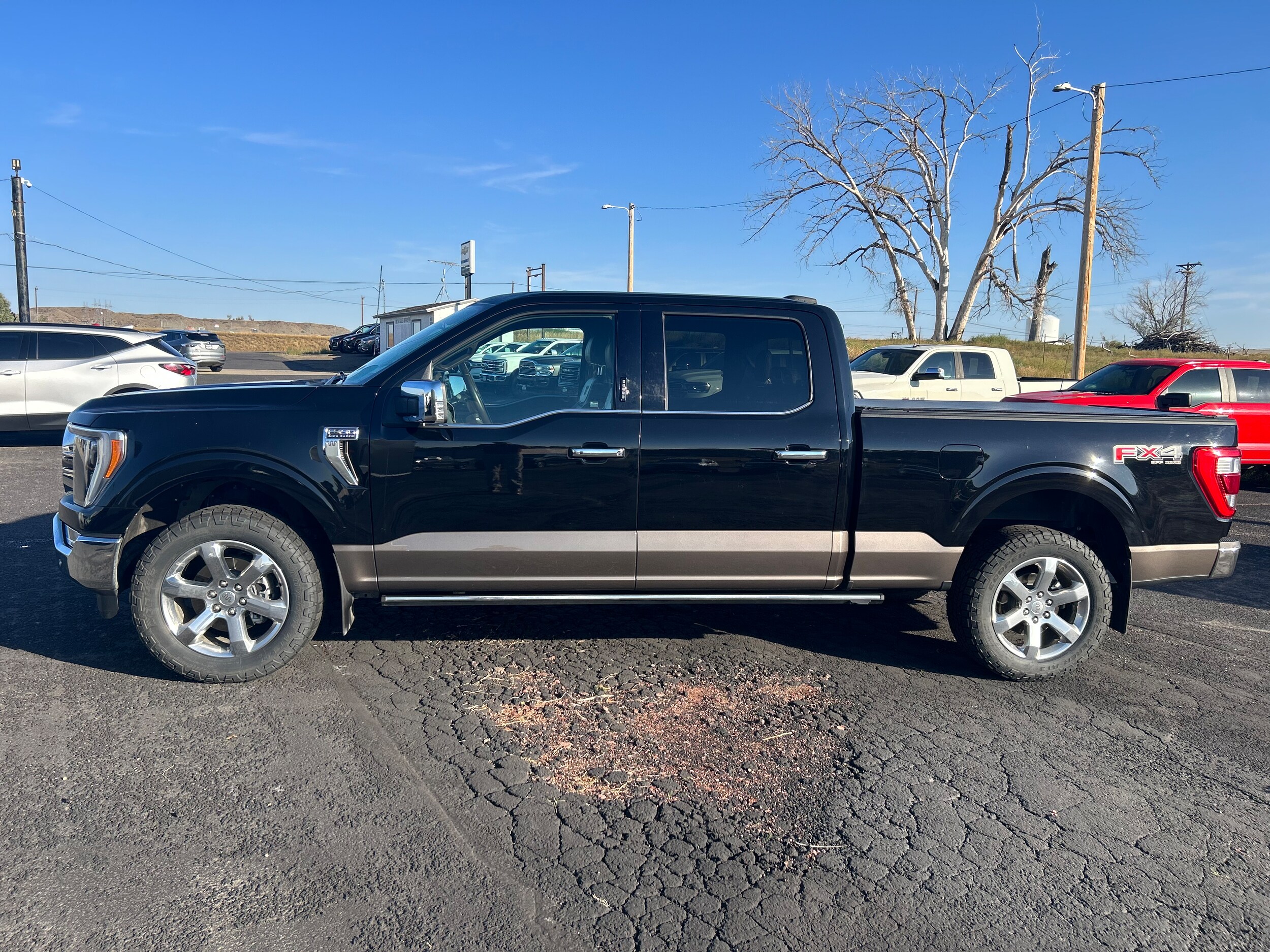 2022 Ford F-150 XL photo 4