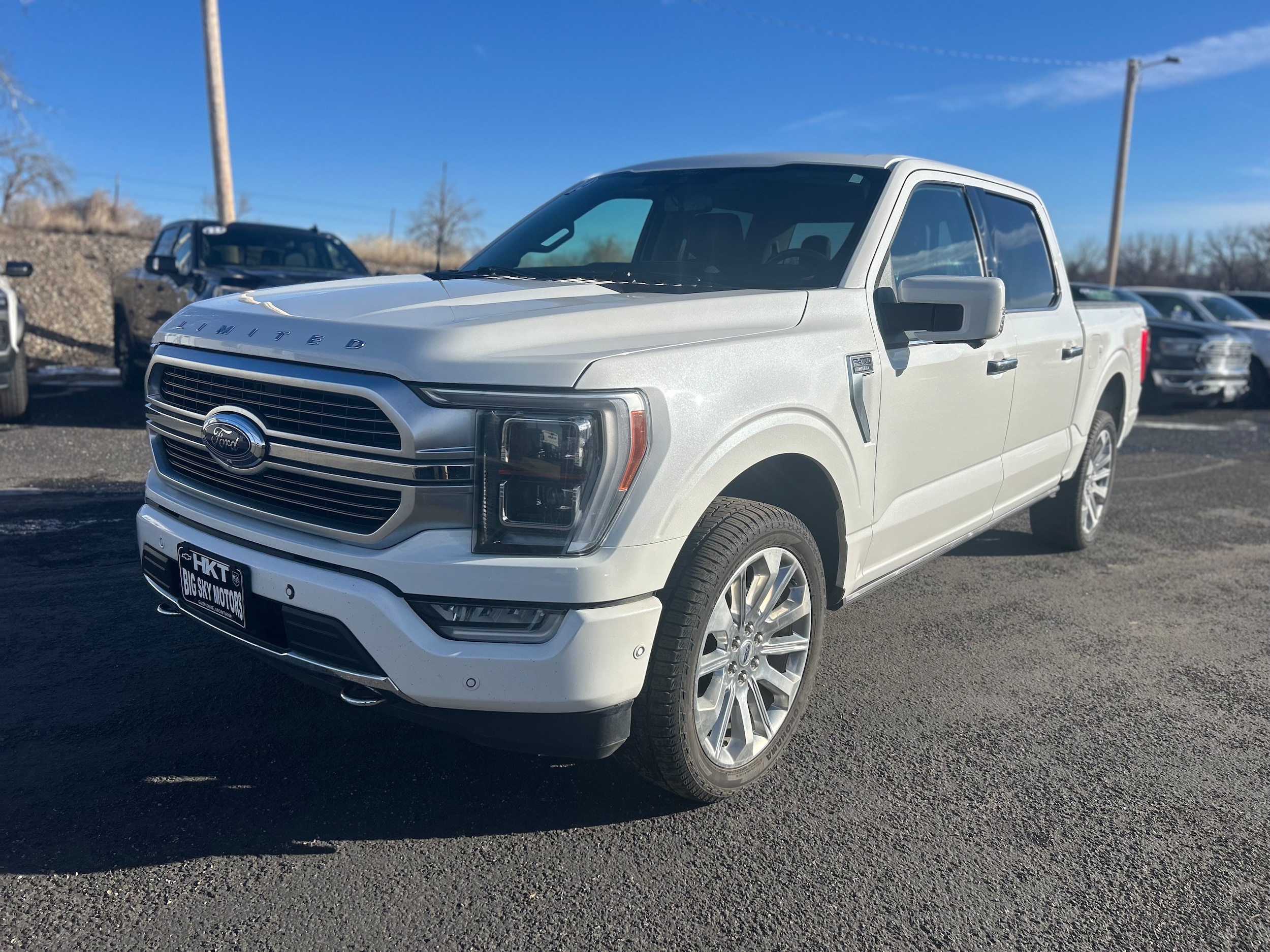 2022 Ford F-150 Limited's photo