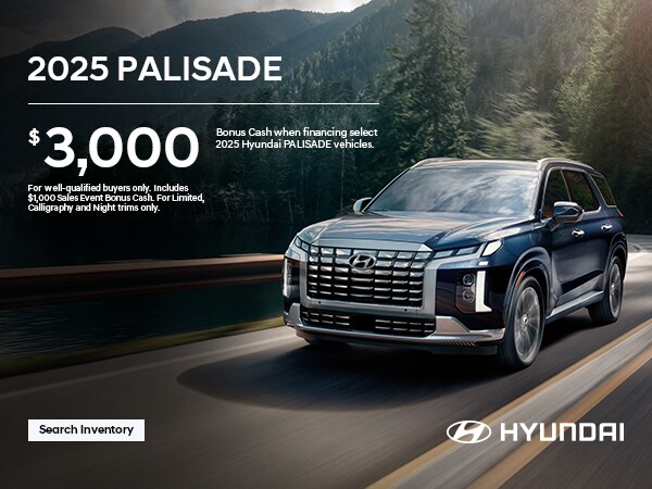 2025 Hyundai Palisade XRT photo 3