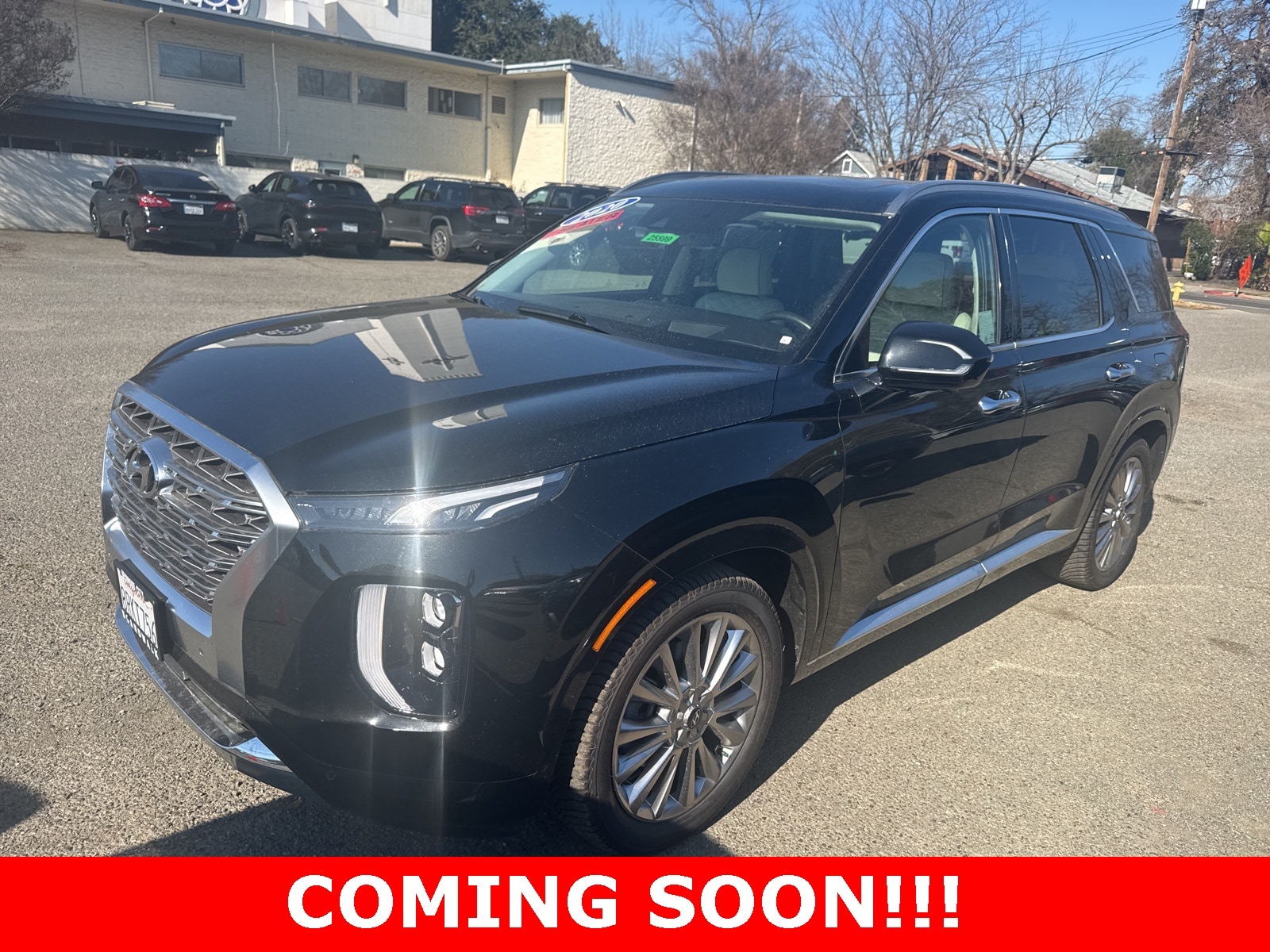 2020 Hyundai Palisade Limited