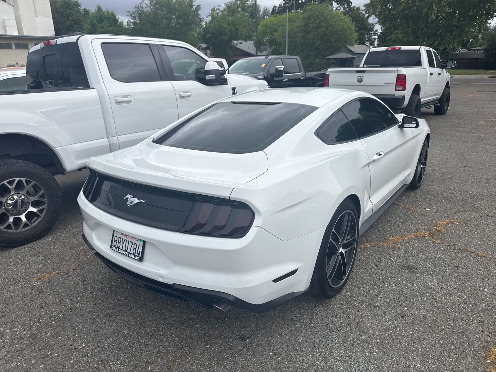 2018 Ford Mustang EcoBoost photo 3