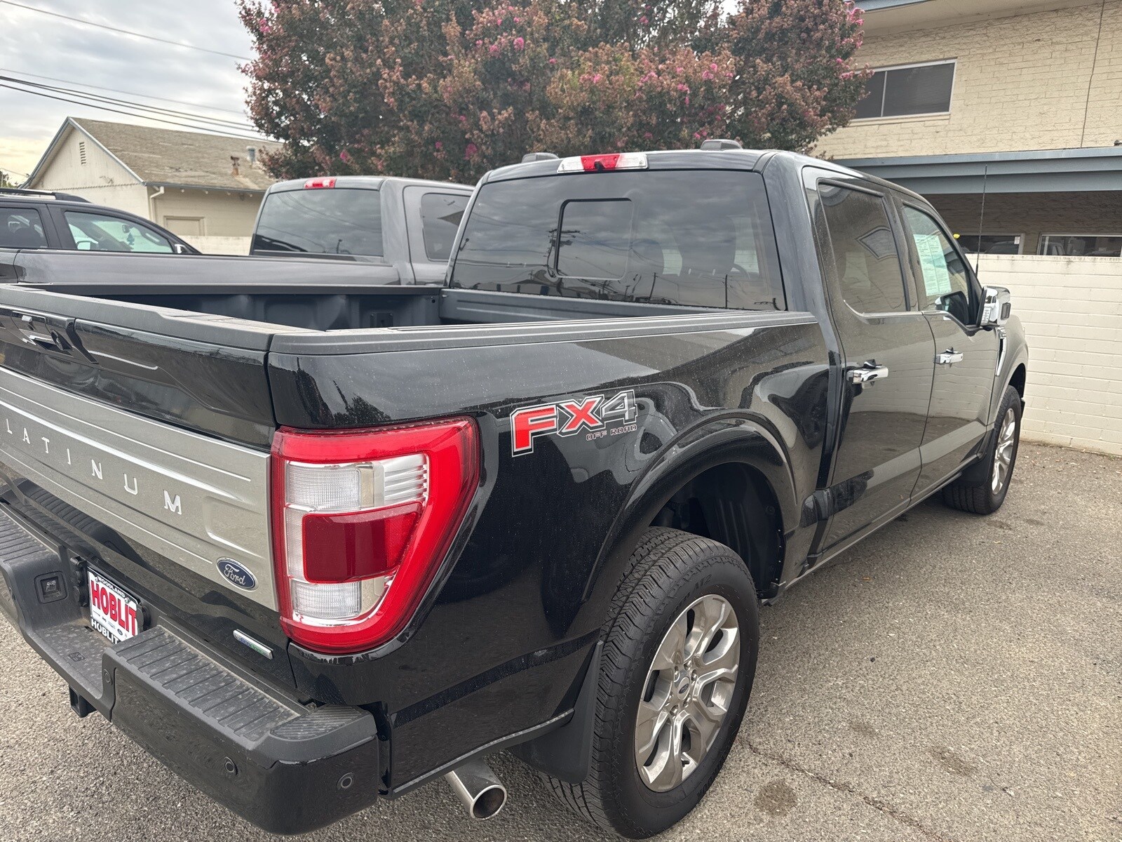 2022 Ford F-150 Platinum photo 3