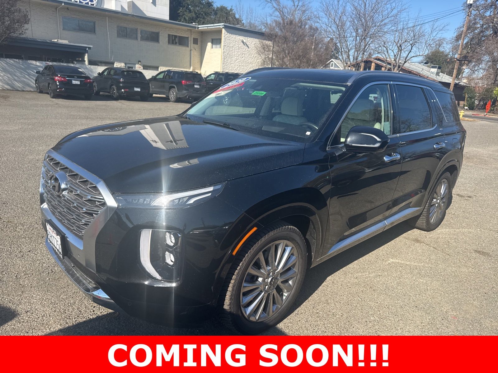 2020 Hyundai Palisade Limited