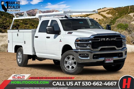 2025 Ram 3500 Chassis Cab 3500 TRADESMAN CREW CAB CHASSIS 4X2 60' CA Pickup