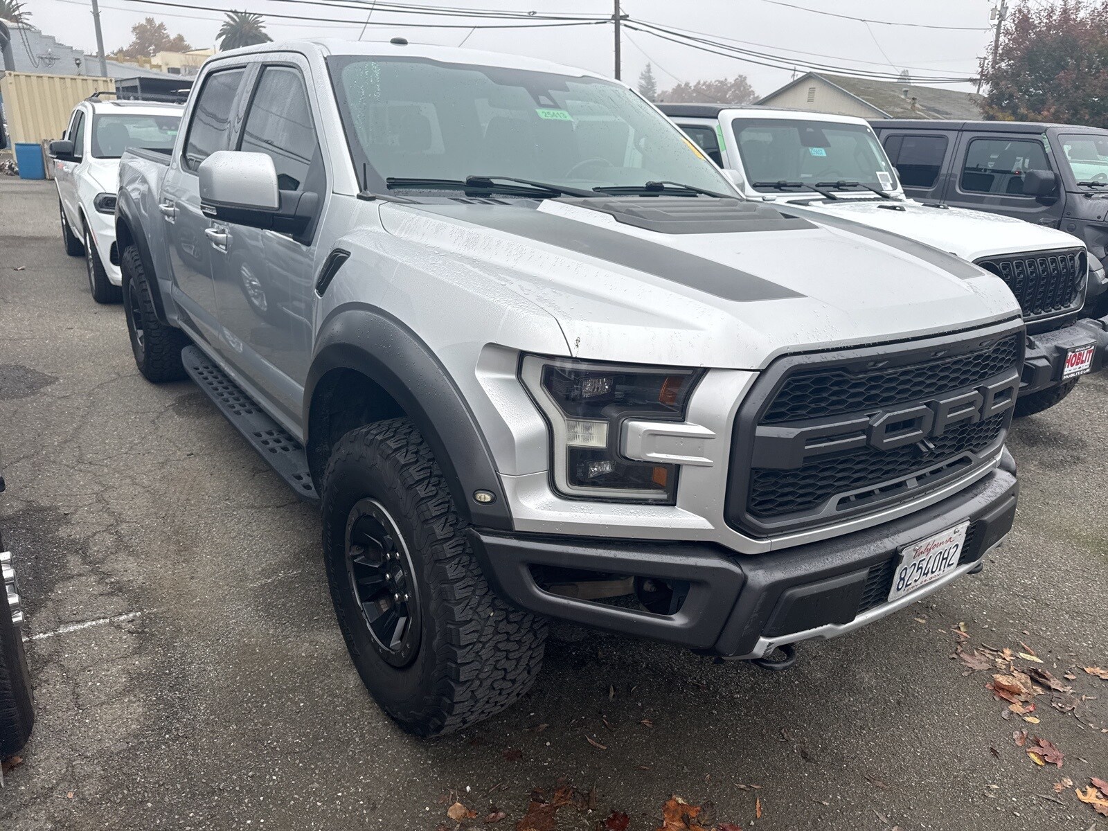2017 Ford F-150 Raptor photo 3