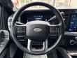 2024 Ford F-350SD Platinum FX4 Crew Cab Short Bed Powerstroke Truck