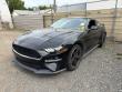 2019 Ford Mustang Bullitt Coupe