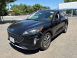 2022 Ford Escape Hybrid SEL SUV