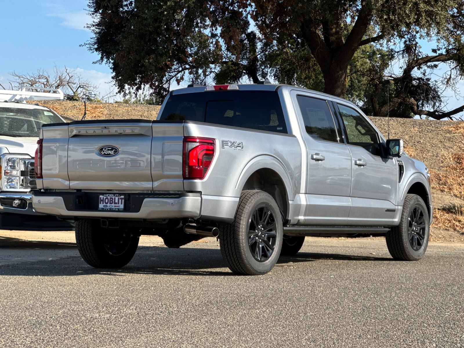 2025 Ford F-150 Platinum photo 3