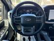 2022 Ford F-150 XLT FX4 Off-Road Crew Cab 4x4 Ecoboost Truck