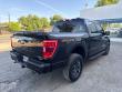 2022 Ford F-150 Tremor Crew Cab 4x4 Ecoboost Truck