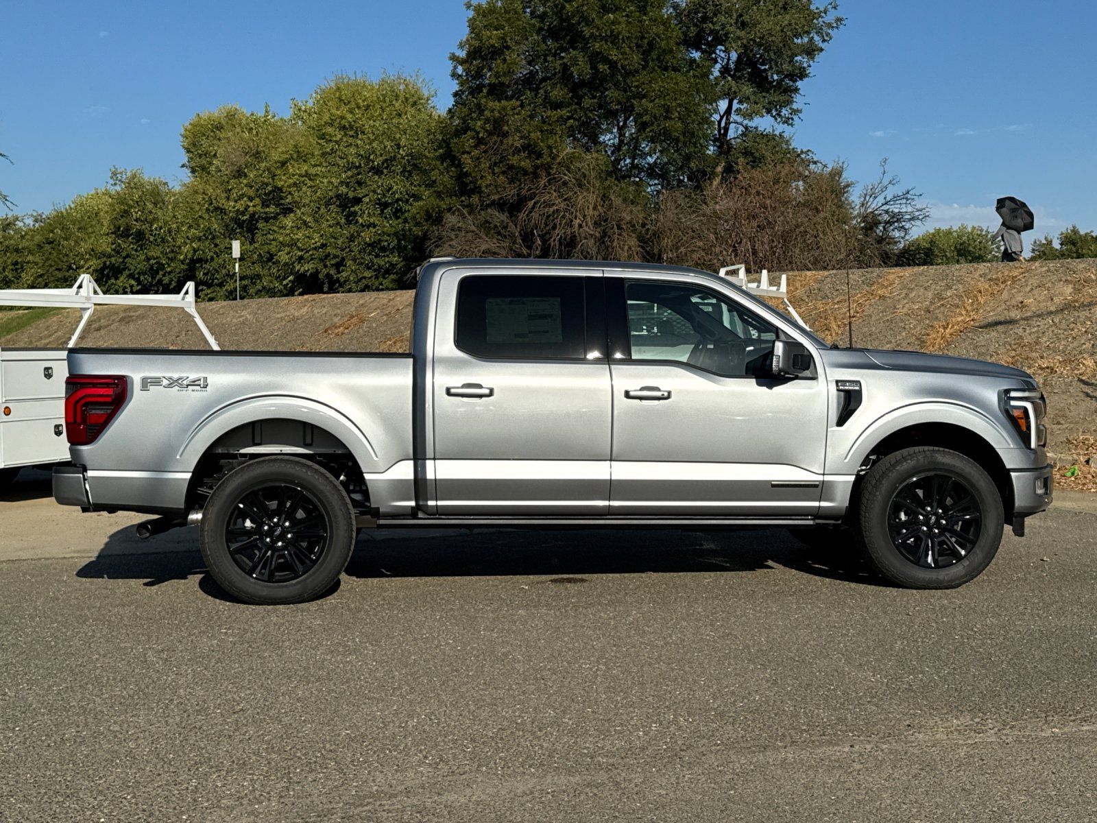 2025 Ford F-150 Platinum photo 2