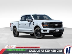 New 2025 Ford F-150 XLT Truck for Sale in Colusa, CA