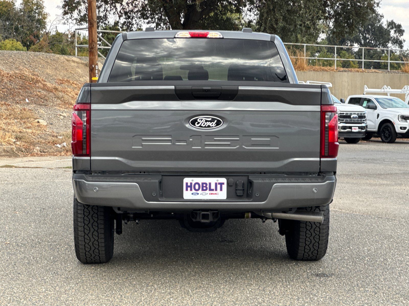2025 Ford F-150 XLT photo 4