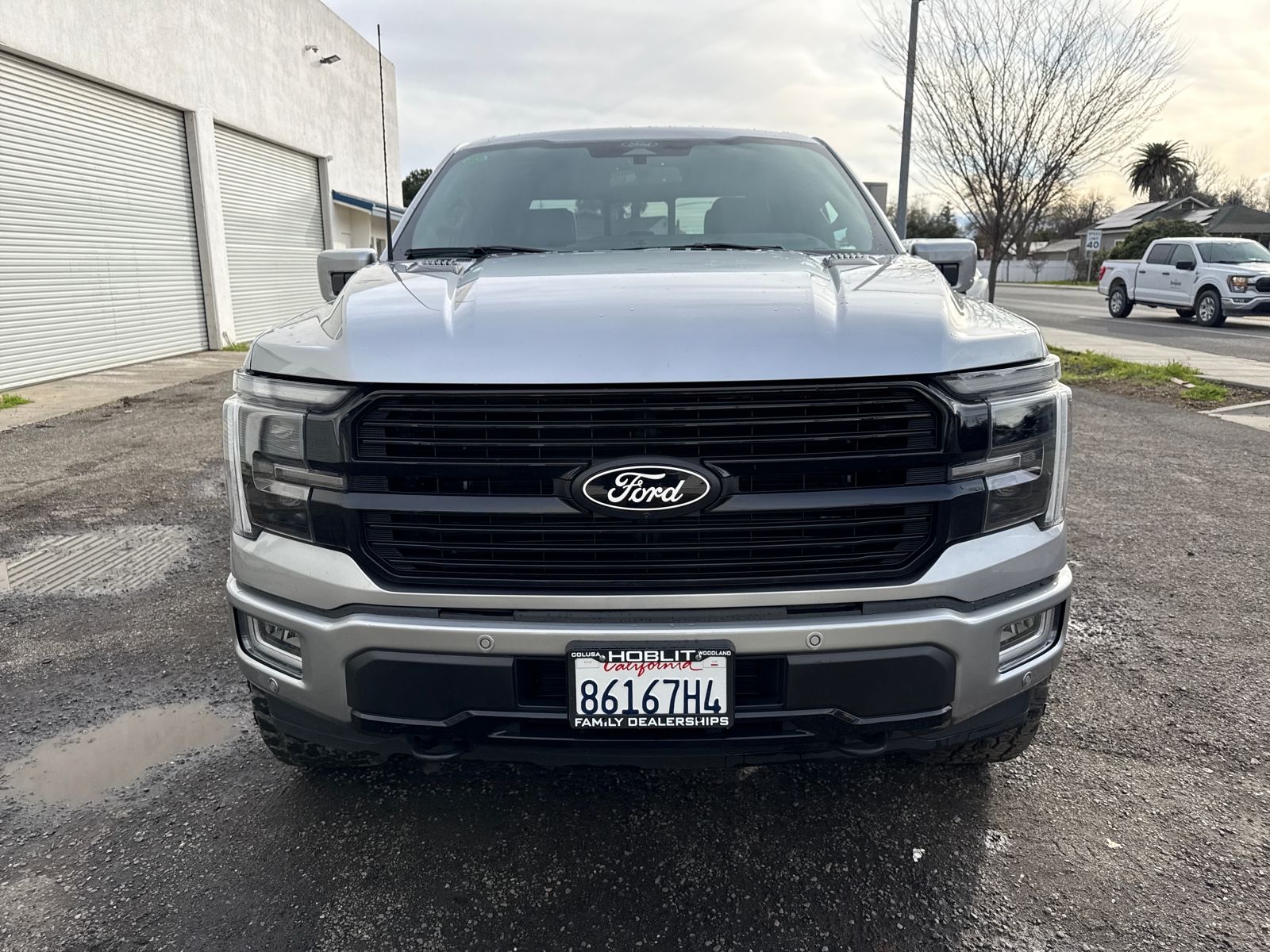 2025 Ford F-150 Platinum Crew Cab Powerboost photo 3