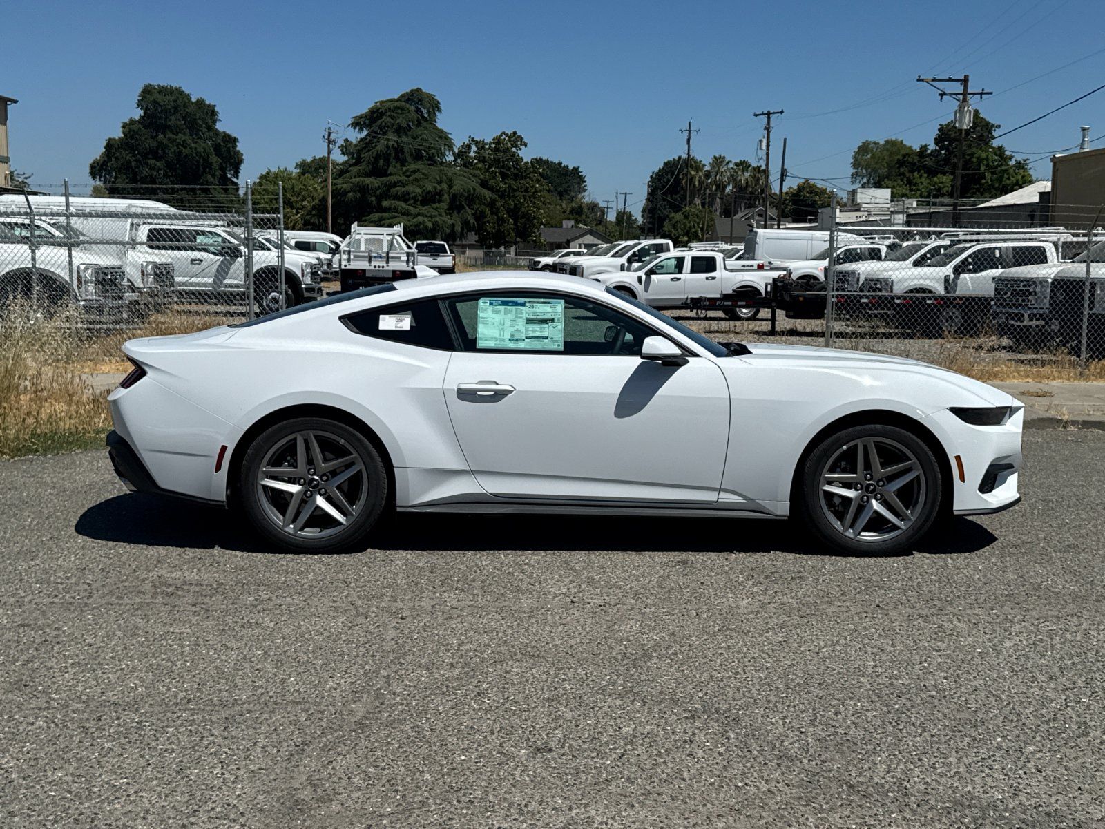 2025 Ford Mustang EcoBoost photo 2