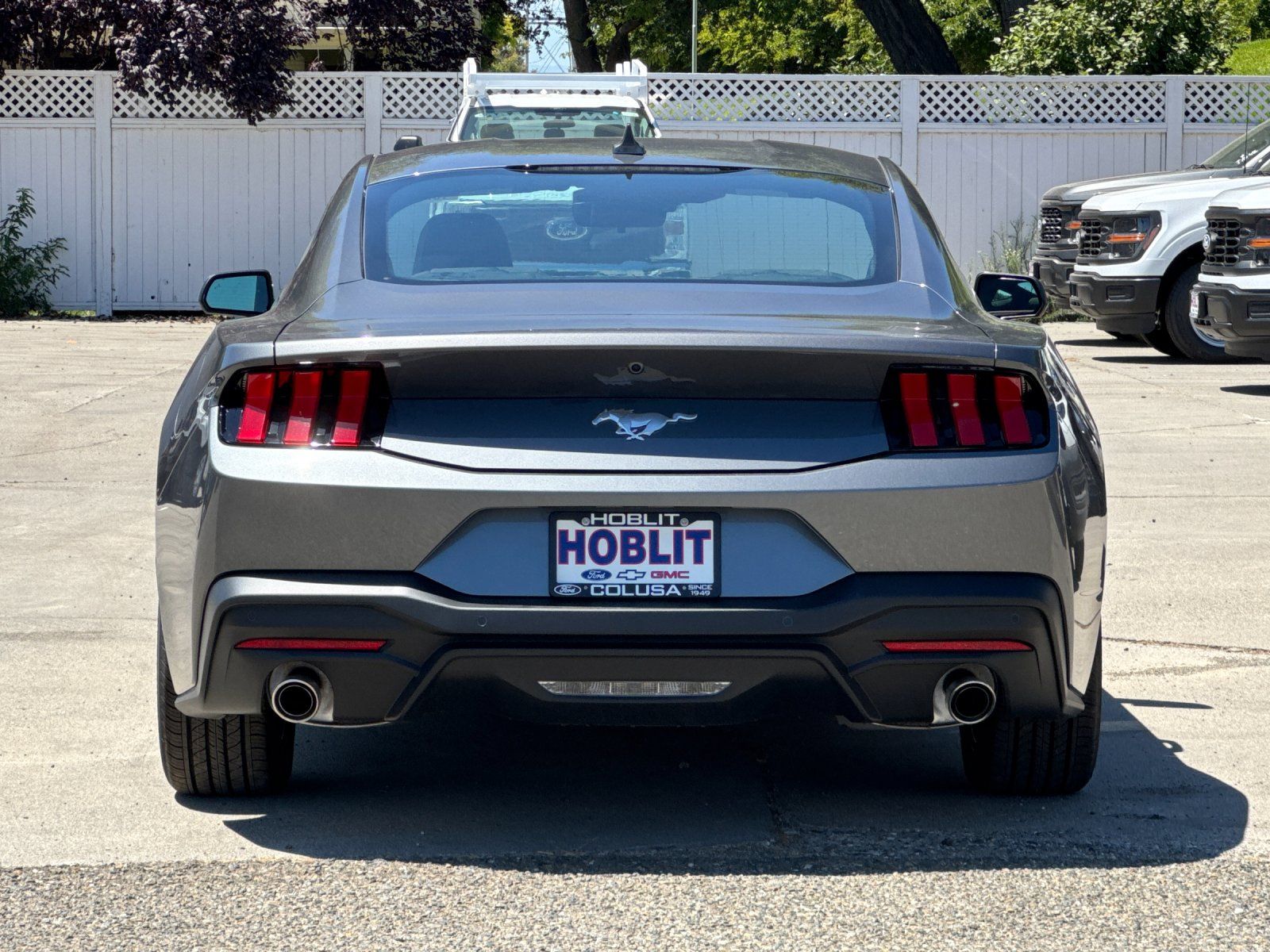 2025 Ford Mustang EcoBoost photo 4