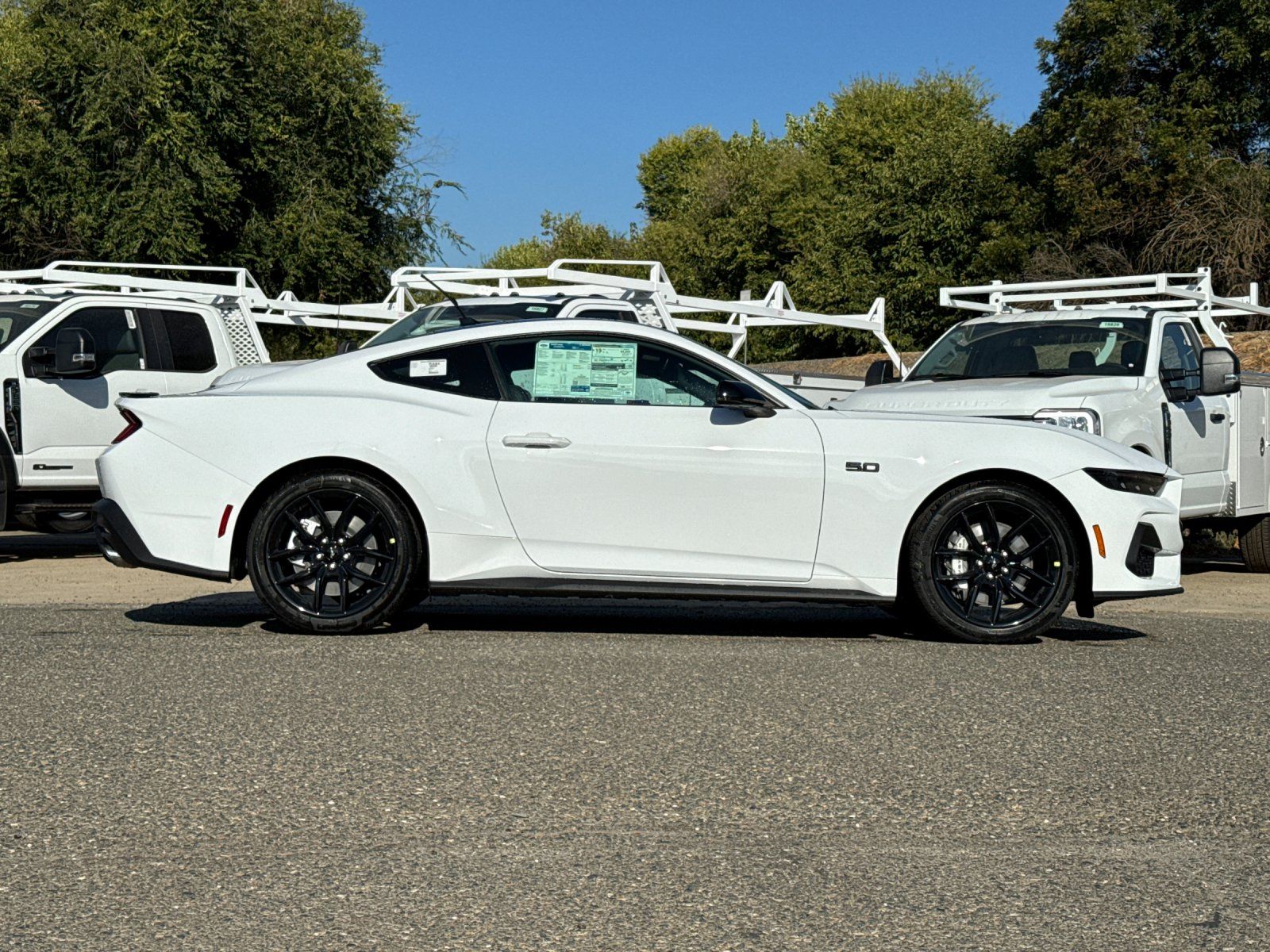 2025 Ford Mustang GT Premium photo 2