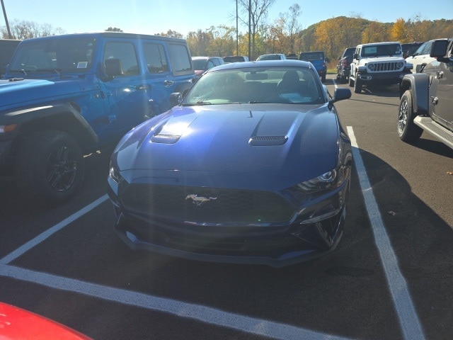 Used 2019 Ford Mustang EcoBoost with VIN 1FA6P8TH5K5146623 for sale in Martinsville, IN