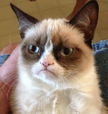 Grump.jpg