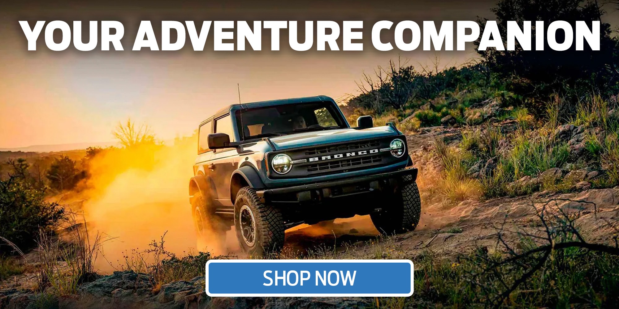 Ford Bronco Cost
