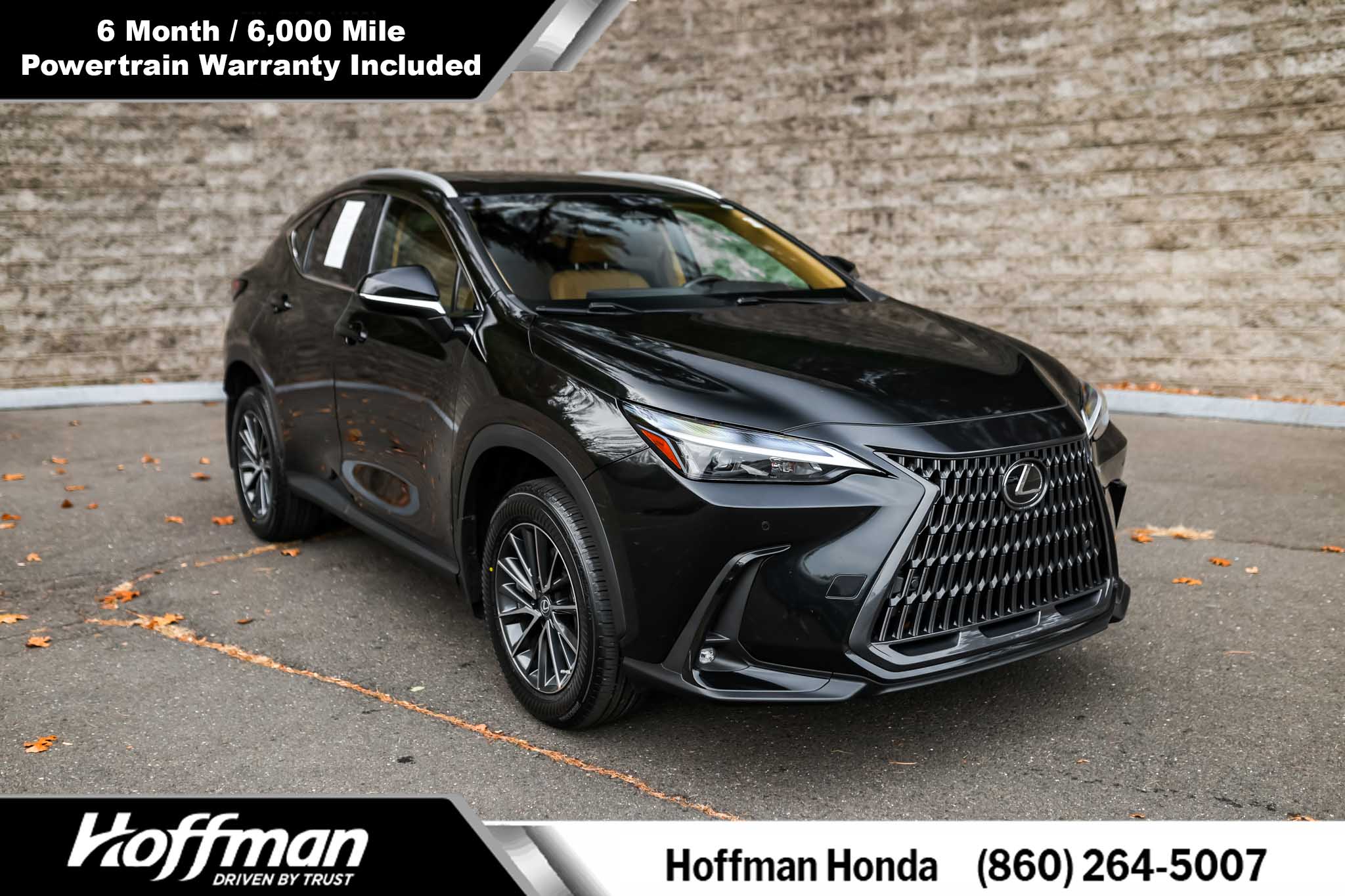 2022 Lexus NX 350's photo