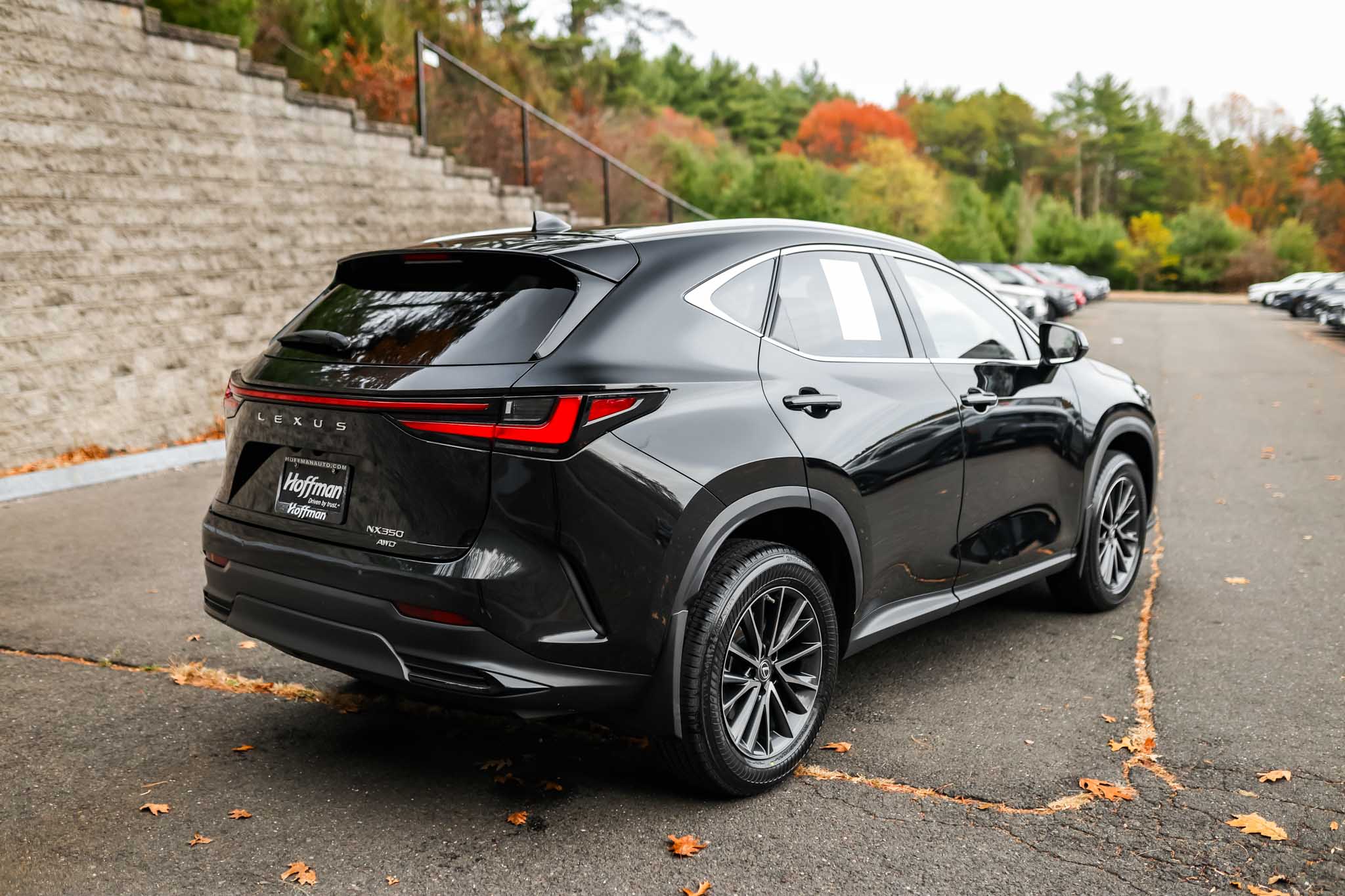 2022 Lexus NX 350 Premium photo 4